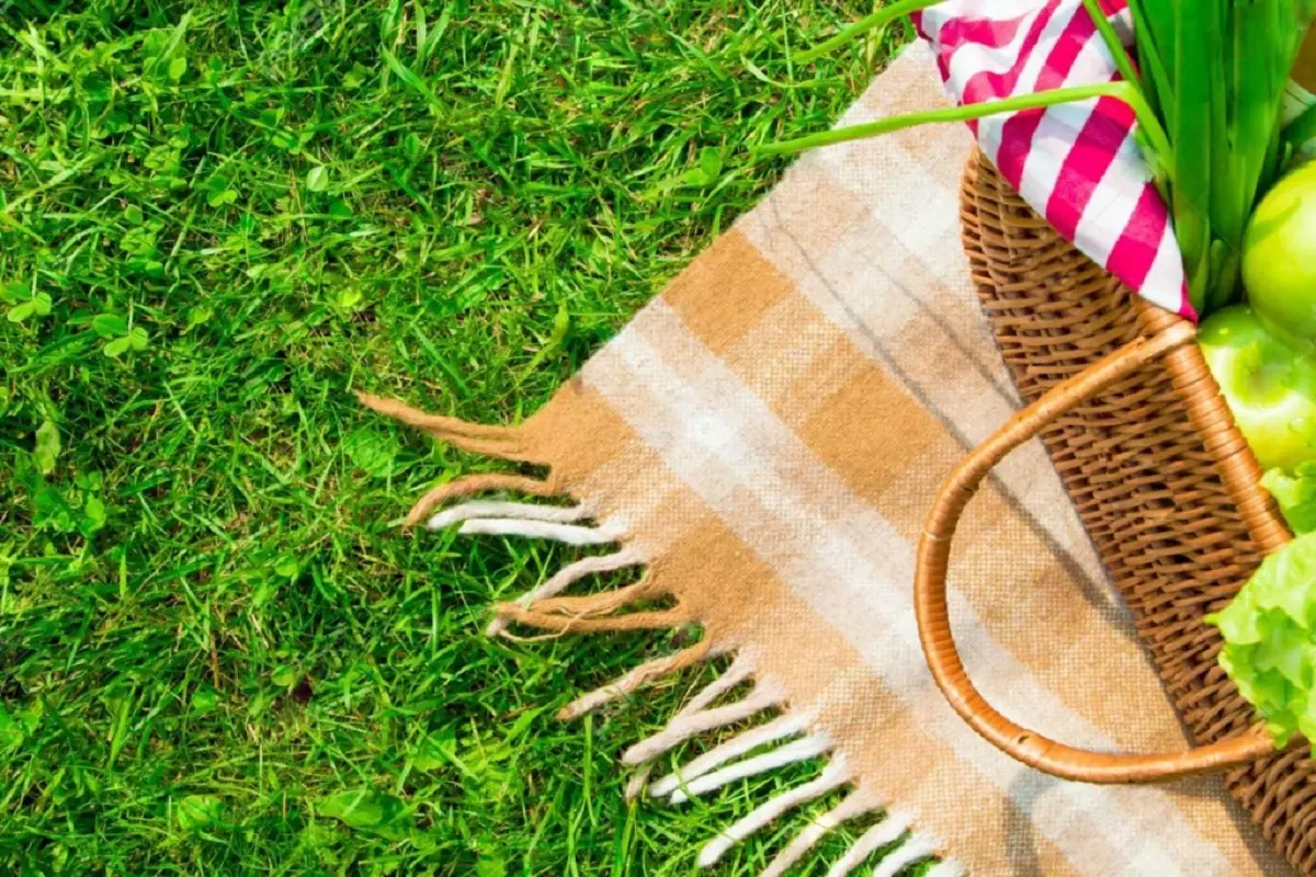 فروشگاه عمده انواع زیر سفره ای