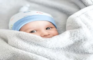 لیست قیمت پتو نرمینه