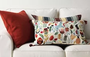 فروشنده آنلاین رو کوسنی